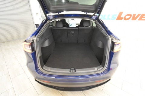 2020 Tesla Model Y Performance AWD 4dr Crossover