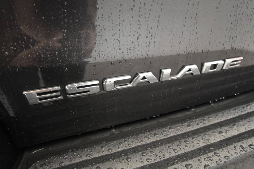2017 Cadillac Escalade Platinum 4x4 4dr SUV, Gray, Mileage: 84,095 - photo 40