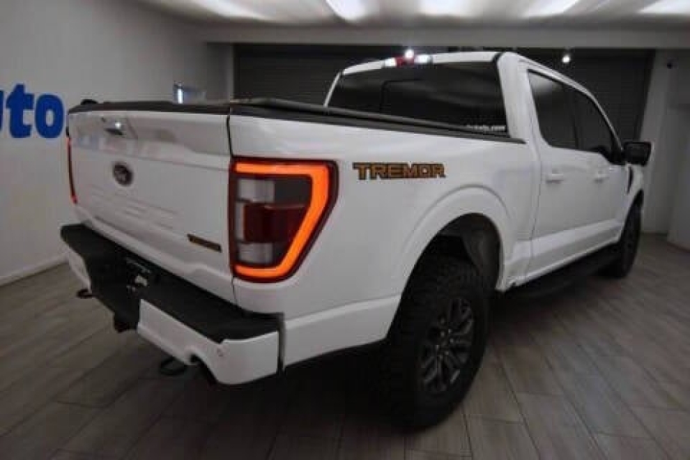 2021 Ford F-150 Tremor 4x4 4dr SuperCrew 5.5 ft. SB, White, Mileage: 84,860 - photo 3