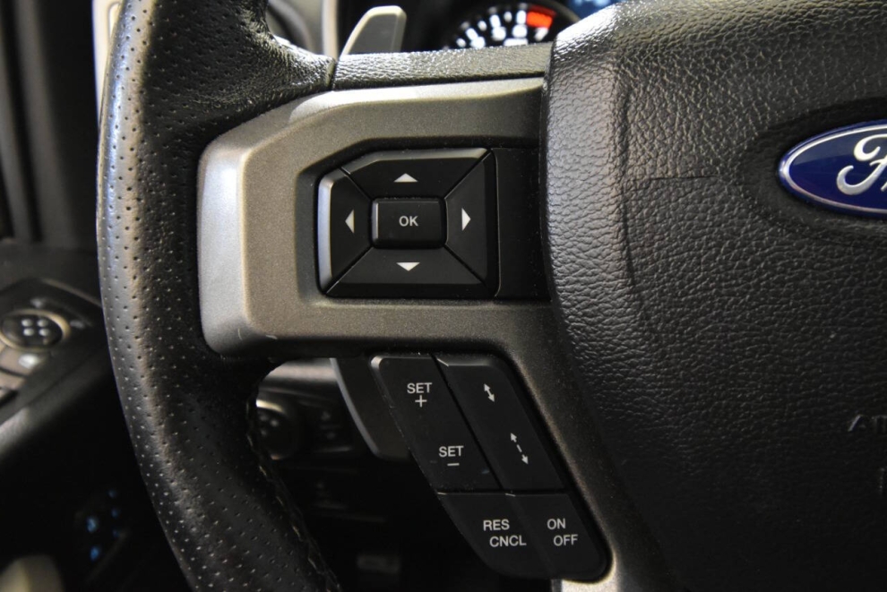 2017 Ford F-150 Raptor 4x4 4dr SuperCrew 5.5 ft. SB, Gray, Mileage: 120,225 - photo 28