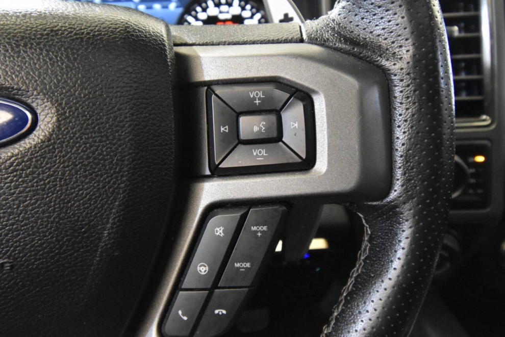 2017 Ford F-150 Raptor 4x4 4dr SuperCrew 5.5 ft. SB, Gray, Mileage: 120,225 - photo 29