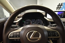 2016 Lexus RX 350 Base - photothumb 25