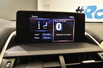 2019 Lexus NX 300 F SPORT 4dr Crossover - photothumb 20